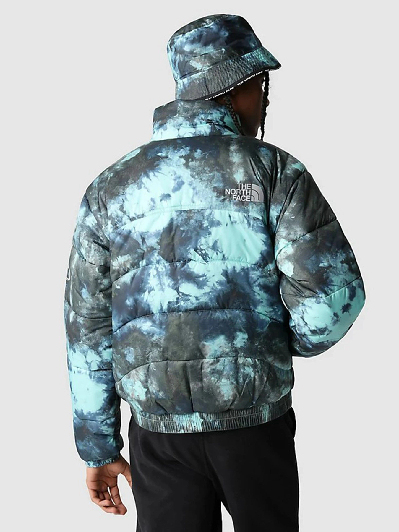 Куртки и дубленки The North Face 2000 модель NF0A7WW69571 Куртки и дубленки The North Face 2000 модель NF0A7WW69571 Фото