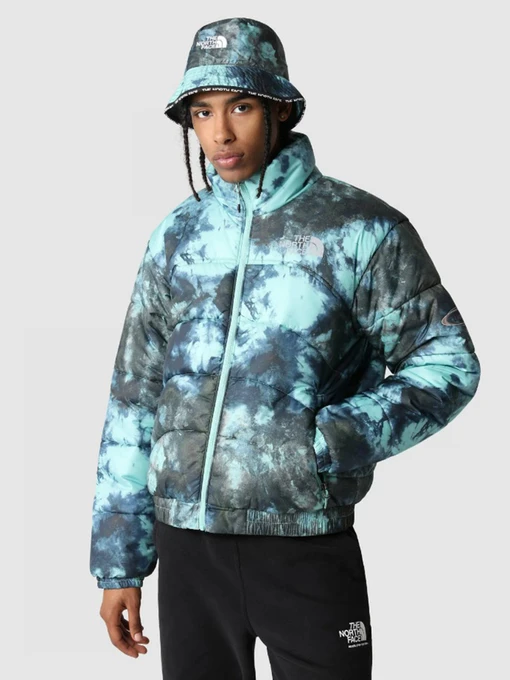 Куртки и дубленки The North Face 2000 модель NF0A7WW69571 Фото