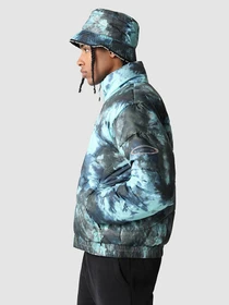 Куртки и дубленки The North Face 2000 модель NF0A7WW69571 Фото