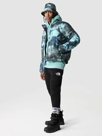 Куртки и дубленки The North Face 2000 модель NF0A7WW69571 Фото