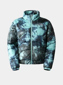 Куртки и дубленки The North Face 2000 модель NF0A7WW69571 Фото
