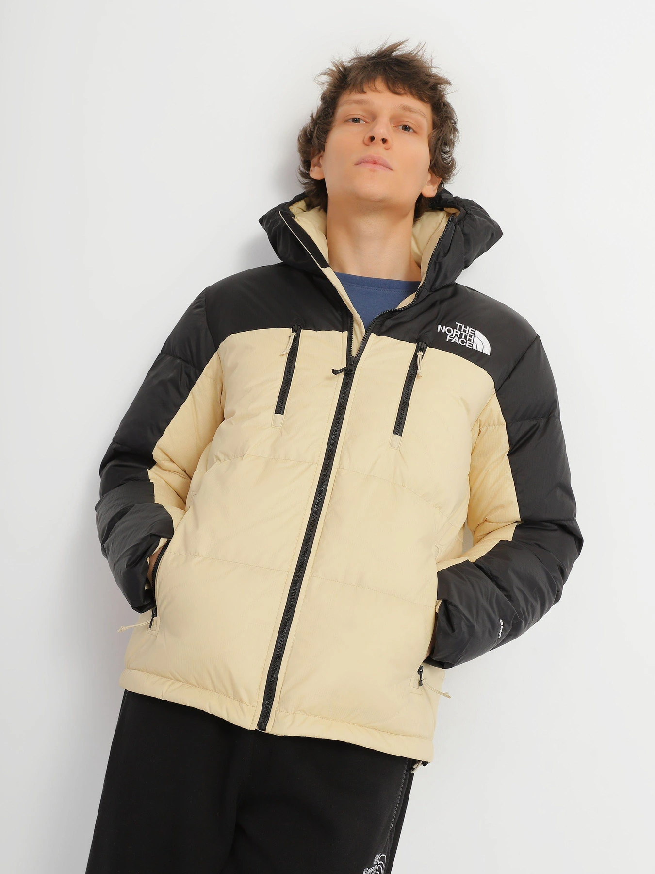 Куртки и дубленки The North Face Himalayan Light модель NF0A7X163X41 Куртки и дубленки The North Face Himalayan Light модель NF0A7X163X41 Фото