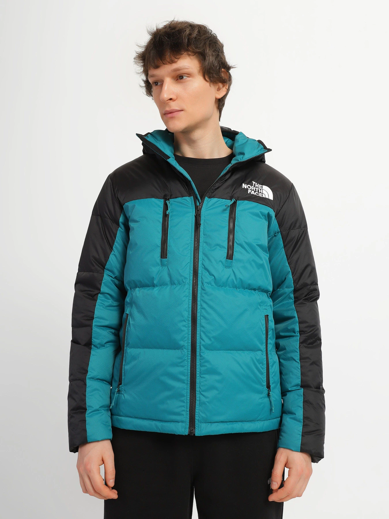 Куртки и дубленки The North Face Himalayan Light модель NF0A7X162W91 Куртки и дубленки The North Face Himalayan Light модель NF0A7X162W91 Фото