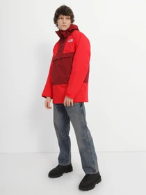 Куртки и дубленки The North Face Silvani модель NF0A4QXE92L1 Фото