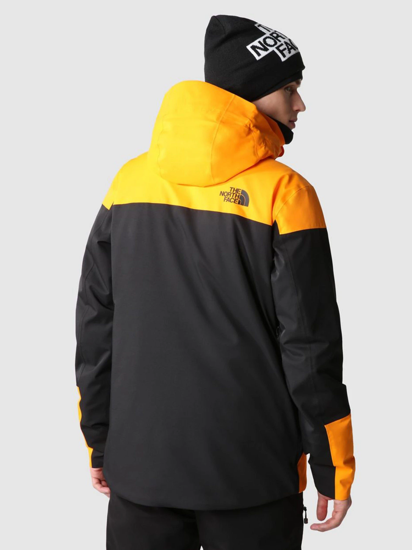 Куртки и дубленки The North Face Chakal модель NF0A5GM37Q61 Фото