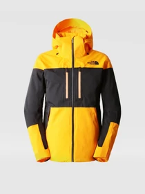 Куртки и дубленки The North Face Chakal модель NF0A5GM37Q61 Фото
