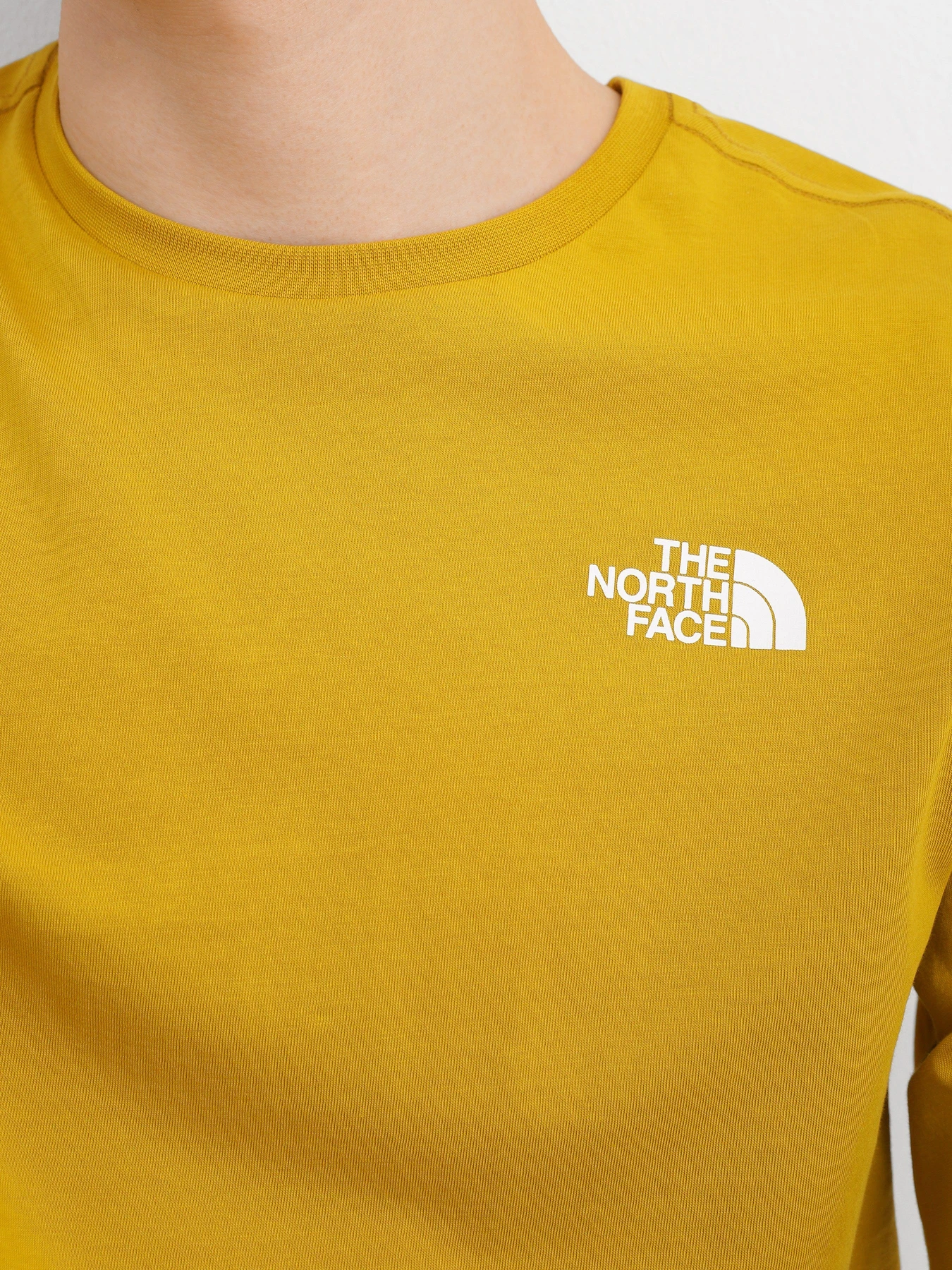 Худі та світшоти The North Face Easy Tee модель NF0A2TX176S1 Худі та світшоти The North Face Easy Tee модель NF0A2TX176S1 Фото