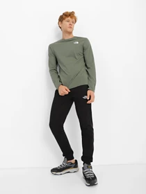 Худи и свитшоты The North Face Redbox модель NF0A493LNYC1 Фото