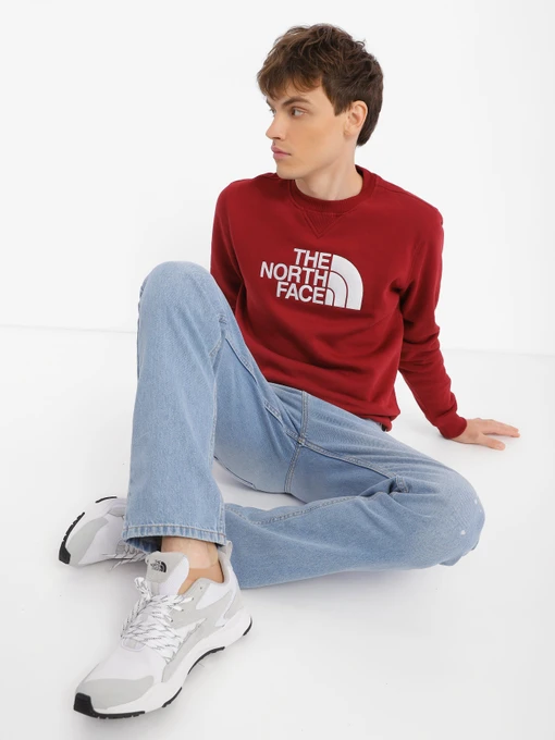 Худі та світшоти The North Face Drew Peak Crew Neck модель NF0A4SVR6R31 Фото