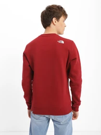Худі та світшоти The North Face Drew Peak Crew Neck модель NF0A4SVR6R31 Фото