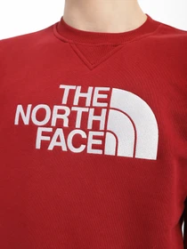 Худі та світшоти The North Face Drew Peak Crew Neck модель NF0A4SVR6R31 Фото