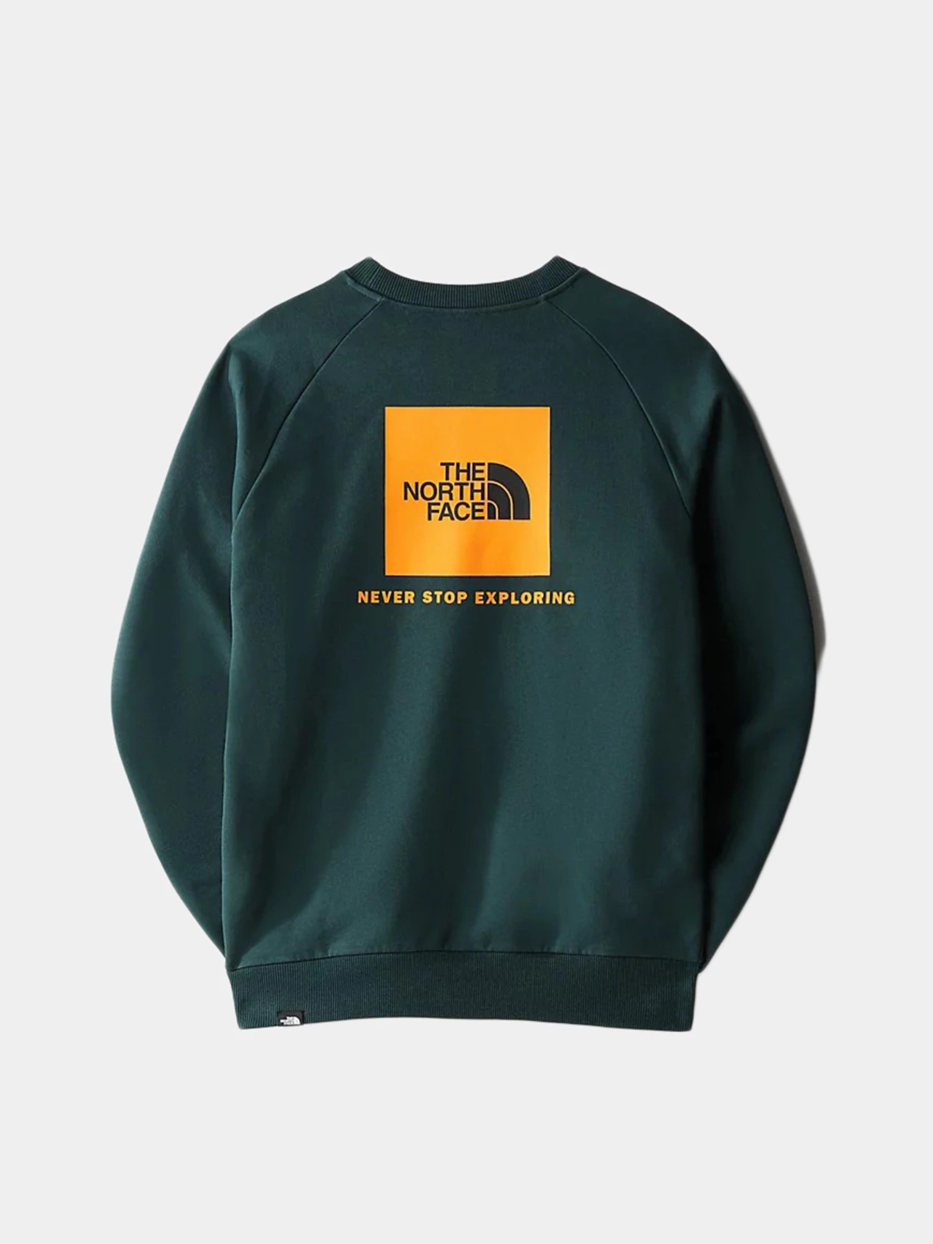 Худі та світшоти The North Face Raglan Red Box модель NF0A4SZ9D7V1 Фото