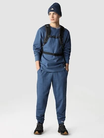 Худі та світшоти The North Face Face Zumu Crewneck модель NF0A5ILHHDC1 Фото