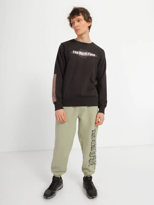 Худи и свитшоты The North Face Coordinates модель NF0A7UO184R1 Фото