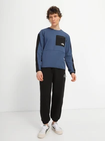 Худи и свитшоты The North Face Tech Crew модель NF0A7UQUHDC1 Фото