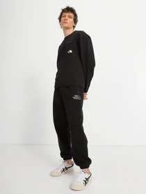 Худи и свитшоты The North Face Tech Crew модель NF0A7UQUJK31 Фото