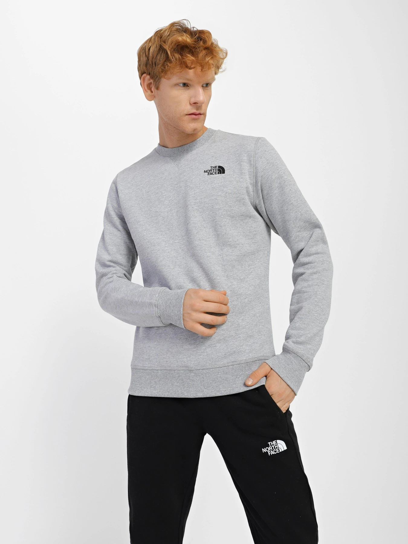 Худі та світшоти The North Face Simple Dome Crew модель NF0A7X1IDYX1 Фото