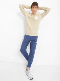 Худі та світшоти The North Face Fine Crewneck модель NF0A7X1L3X41 Фото