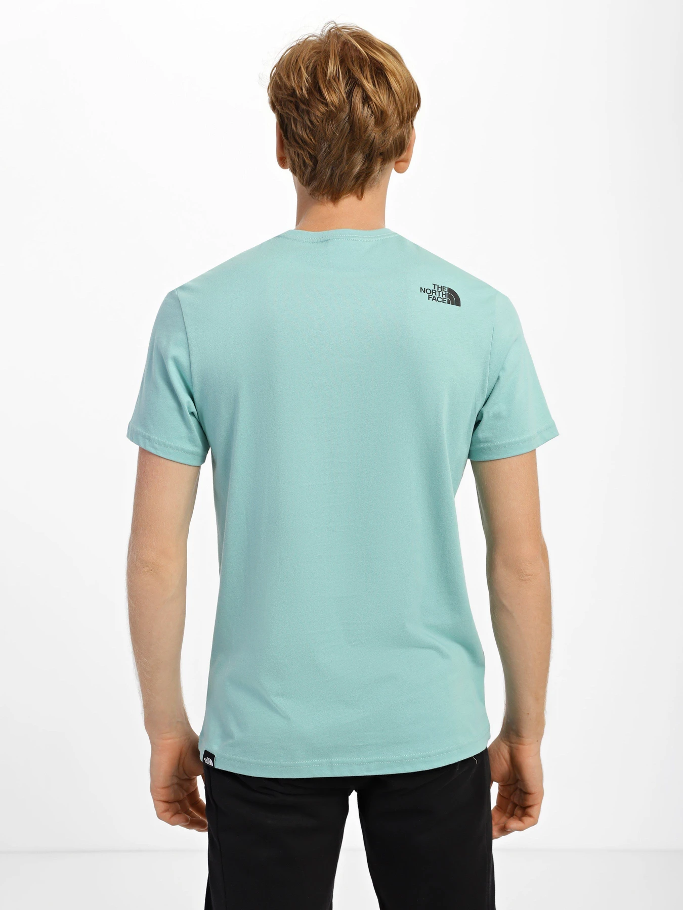 Футболки и поло The North Face Fine модель NF00CEQ56R71 Футболки и поло The North Face Fine модель NF00CEQ56R71 Фото