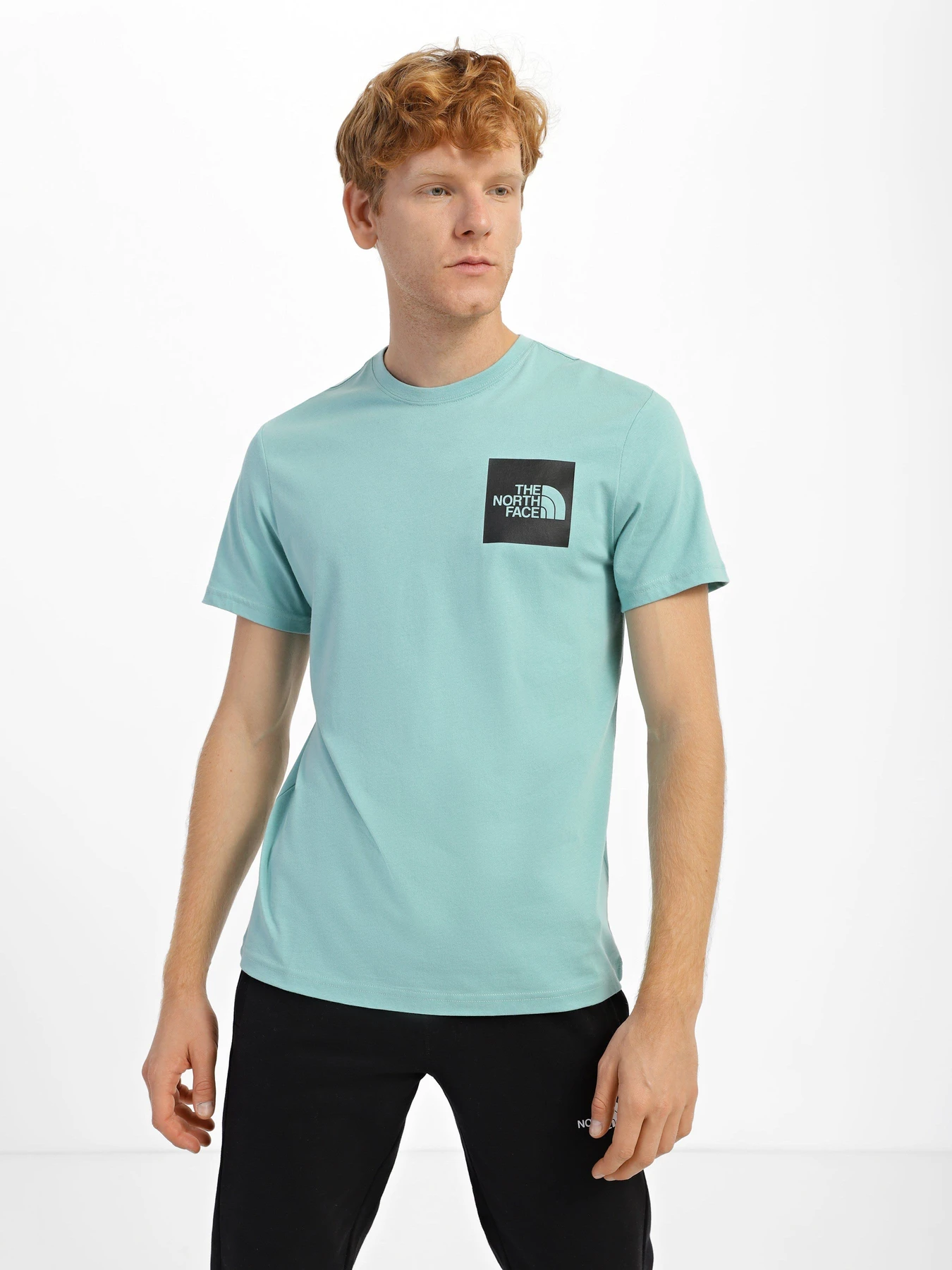 Футболки и поло The North Face Fine модель NF00CEQ56R71 Футболки и поло The North Face Fine модель NF00CEQ56R71 Фото