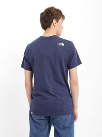 Футболки и поло The North Face Easy Tee модель NF0A2TX38K21 Фото