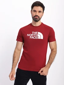 Футболки и поло The North Face Easy модель NF0A2TX36R31 Фото