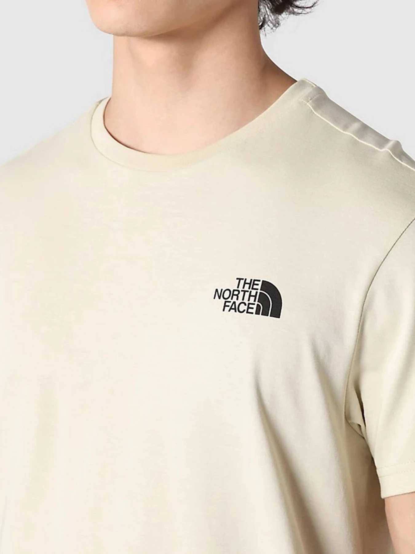 Футболки и поло The North Face SIMPLE DOME LIFESTYLE модель NF0A2TX53X41 Футболки и поло The North Face SIMPLE DOME LIFESTYLE модель NF0A2TX53X41 Фото