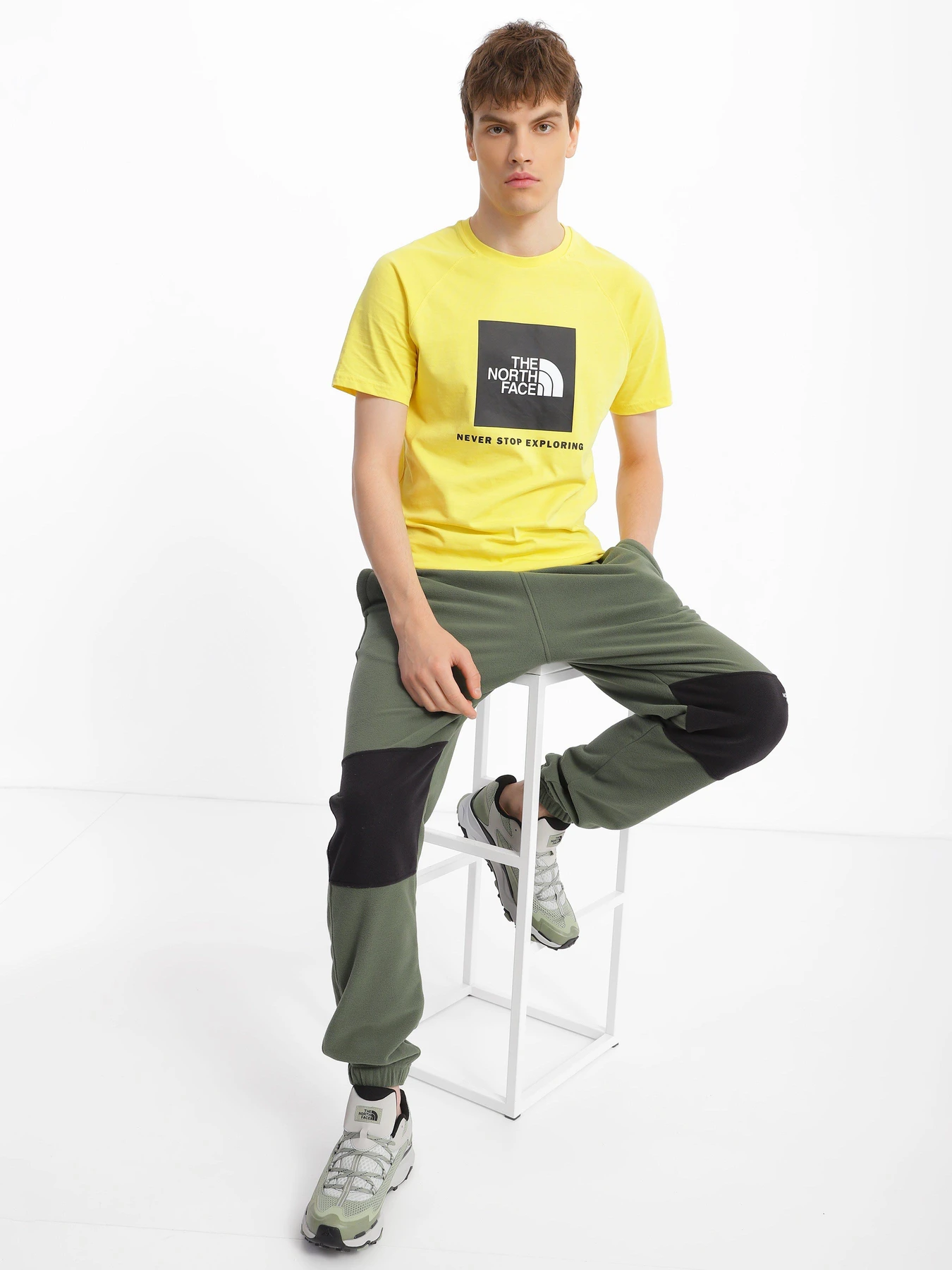 Футболки и поло The North Face Red Box модель NF0A3BQO71U1 Футболки и поло The North Face Red Box модель NF0A3BQO71U1 Фото