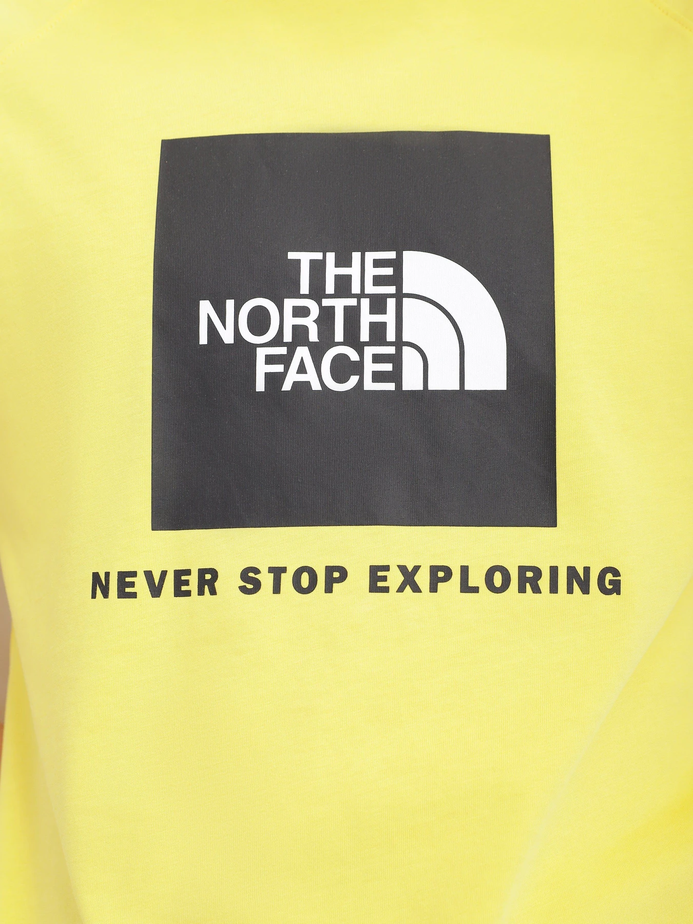 Футболки и поло The North Face Red Box модель NF0A3BQO71U1 Футболки и поло The North Face Red Box модель NF0A3BQO71U1 Фото
