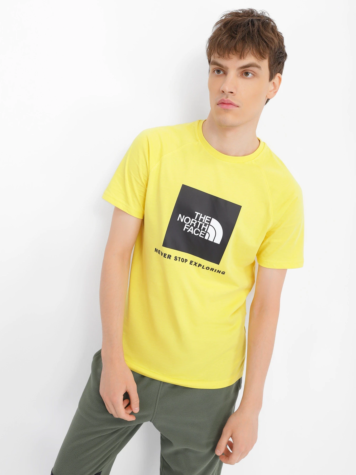 Футболки и поло The North Face Red Box модель NF0A3BQO71U1 Футболки и поло The North Face Red Box модель NF0A3BQO71U1 Фото