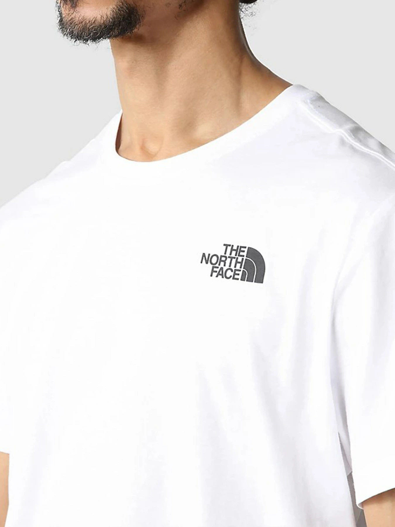 Футболки и поло The North Face Redbox Celebration модель NF0A7X1KFN41 Футболки и поло The North Face Redbox Celebration модель NF0A7X1KFN41 Фото