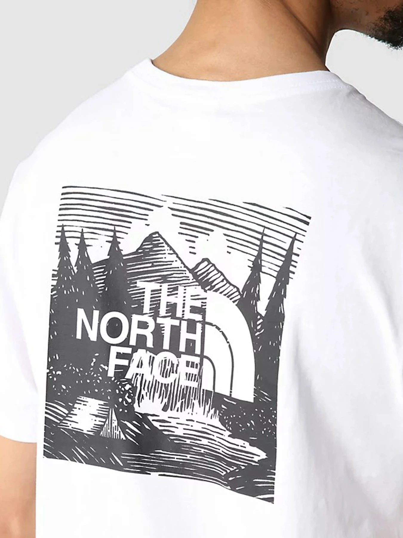 Футболки и поло The North Face Redbox Celebration модель NF0A7X1KFN41 Футболки и поло The North Face Redbox Celebration модель NF0A7X1KFN41 Фото