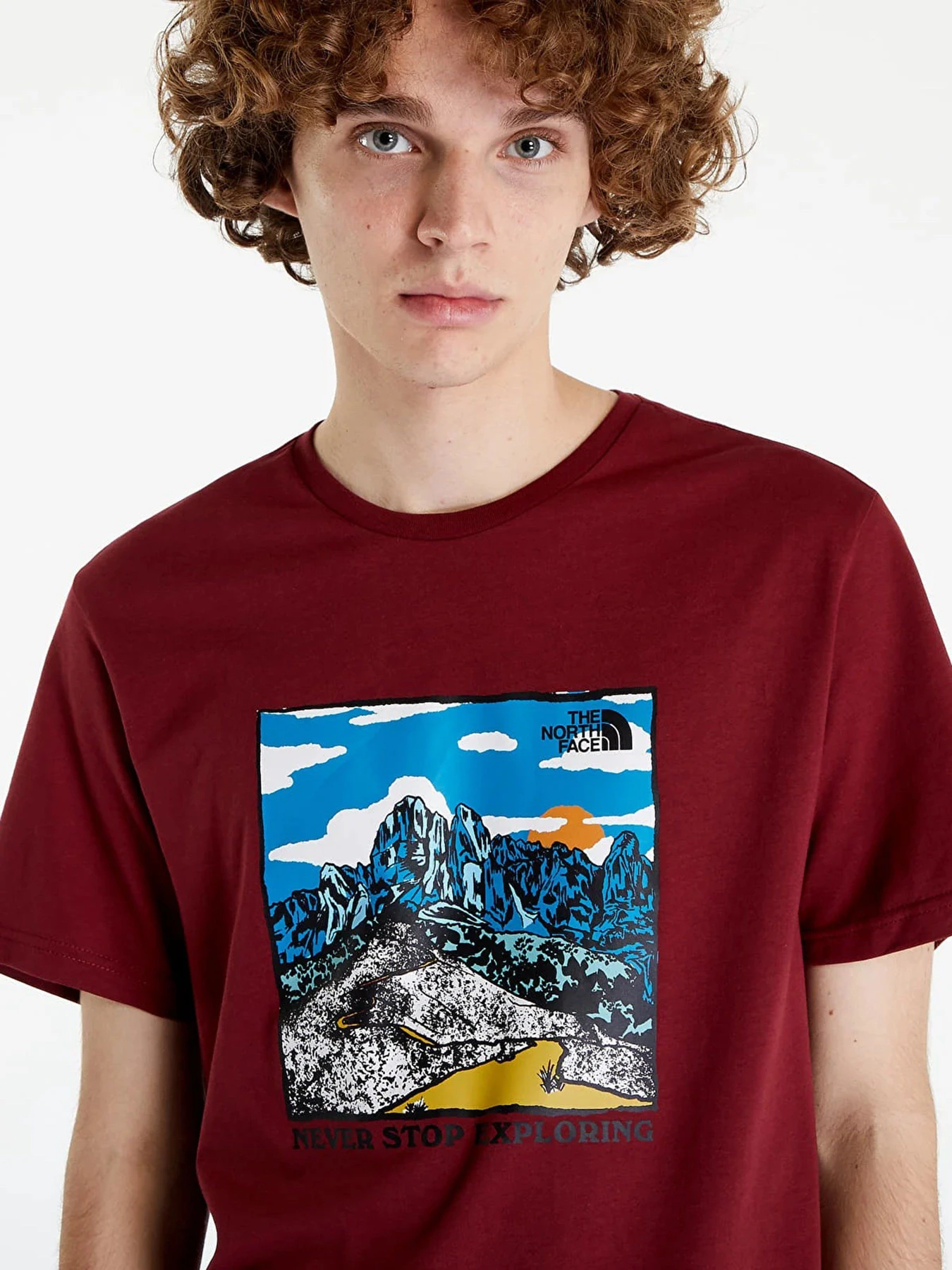 Футболки и поло The North Face Seasonal Graphic модель NF0A7X1O6R31 Футболки и поло The North Face Seasonal Graphic модель NF0A7X1O6R31 Фото