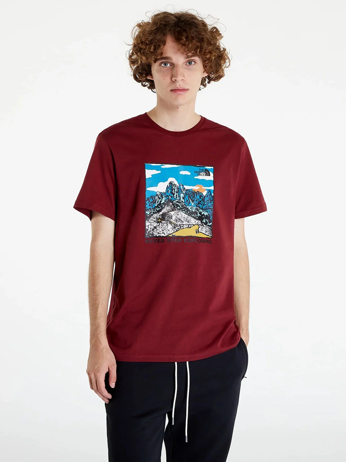 Футболки и поло The North Face Seasonal Graphic модель NF0A7X1O6R31 Футболки и поло The North Face Seasonal Graphic модель NF0A7X1O6R31 Фото