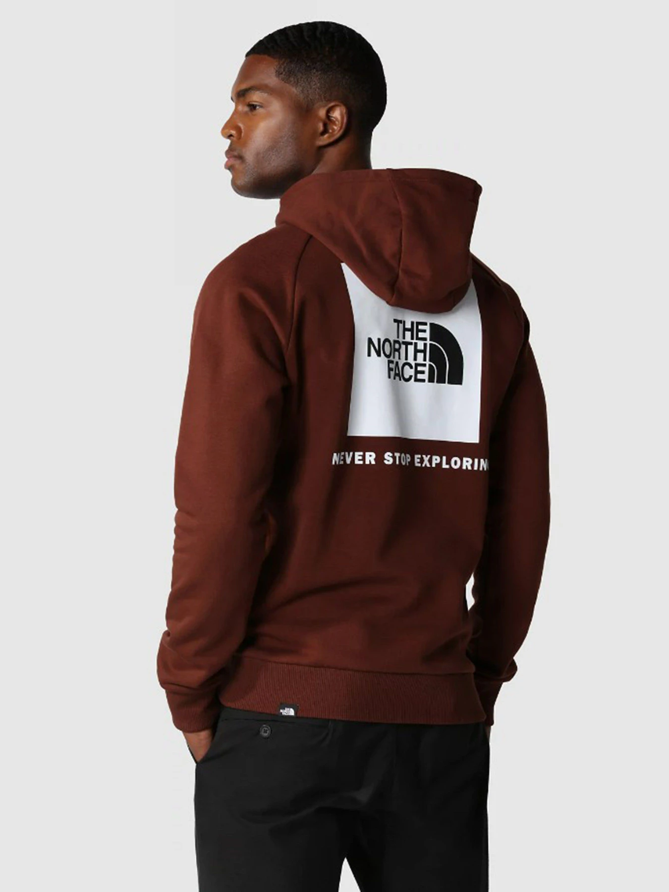 Худі та світшоти The North Face Raglan Red Box HD модель NF0A2ZWU6S21 Фото
