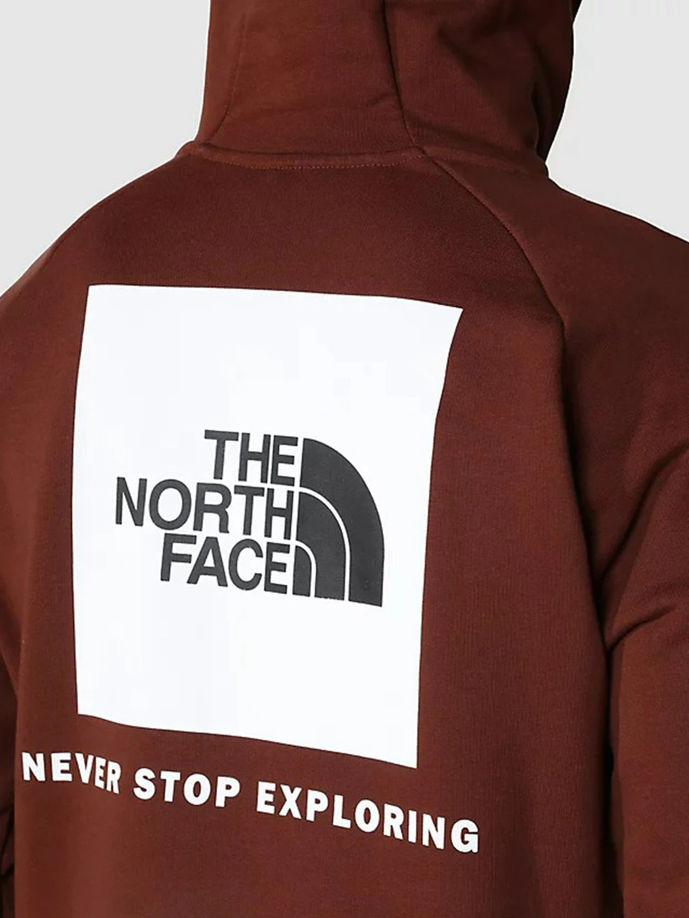 Худі та світшоти The North Face Raglan Red Box HD модель NF0A2ZWU6S21 Фото