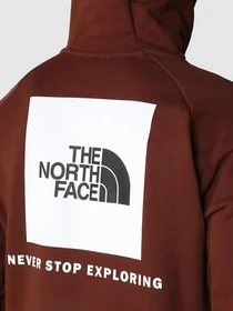Худі та світшоти The North Face Raglan Red Box HD модель NF0A2ZWU6S21 Фото