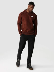 Худі та світшоти The North Face Raglan Red Box HD модель NF0A2ZWU6S21 Фото