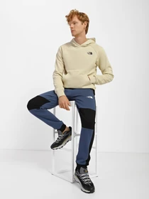 Худі та світшоти The North Face Redbox модель NF0A2ZWU3X41 Фото