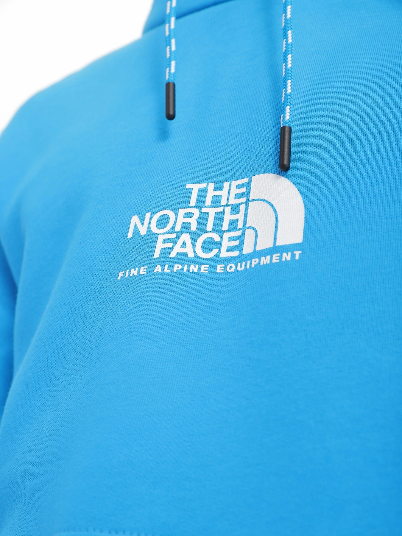 Худі та світшоти The North Face Alpine модель NF0A3XY3JA71 Фото