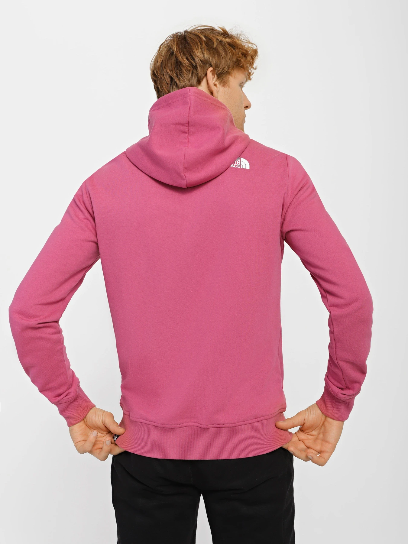 Худі та світшоти The North Face Standard модель NF0A3XYD7481 Фото