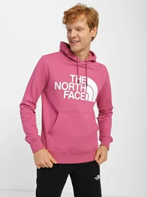Худі та світшоти The North Face Standard модель NF0A3XYD7481 Фото