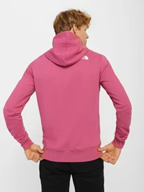 Худі та світшоти The North Face Standard модель NF0A3XYD7481 Фото