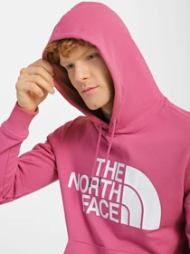 Худі та світшоти The North Face Standard модель NF0A3XYD7481 Фото