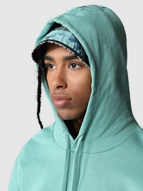 Худі та світшоти The North Face Fine Hoodie Arrowwood модель NF0A5ICX6R71 Фото
