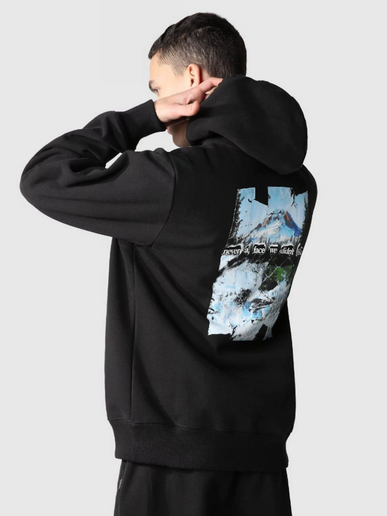 Худи и свитшоты The North Face Printed Hevyweight модель NF0A7WTEJK31 Худи и свитшоты The North Face Printed Hevyweight модель NF0A7WTEJK31 Фото