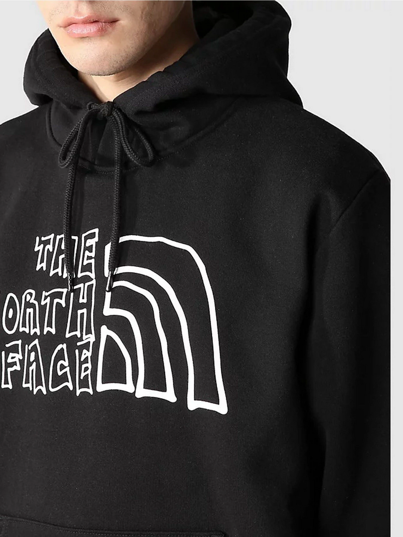 Худи и свитшоты The North Face Printed Hevyweight модель NF0A7WTEJK31 Худи и свитшоты The North Face Printed Hevyweight модель NF0A7WTEJK31 Фото