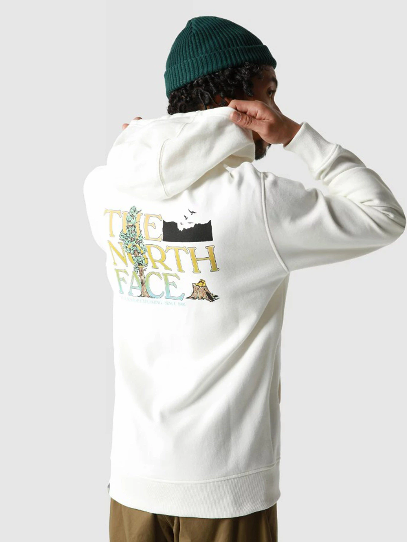 Худі та світшоти The North Face модель NF0A7X1PN3N1 Худі та світшоти The North Face модель NF0A7X1PN3N1 Фото