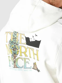 Худі та світшоти The North Face модель NF0A7X1PN3N1 Фото