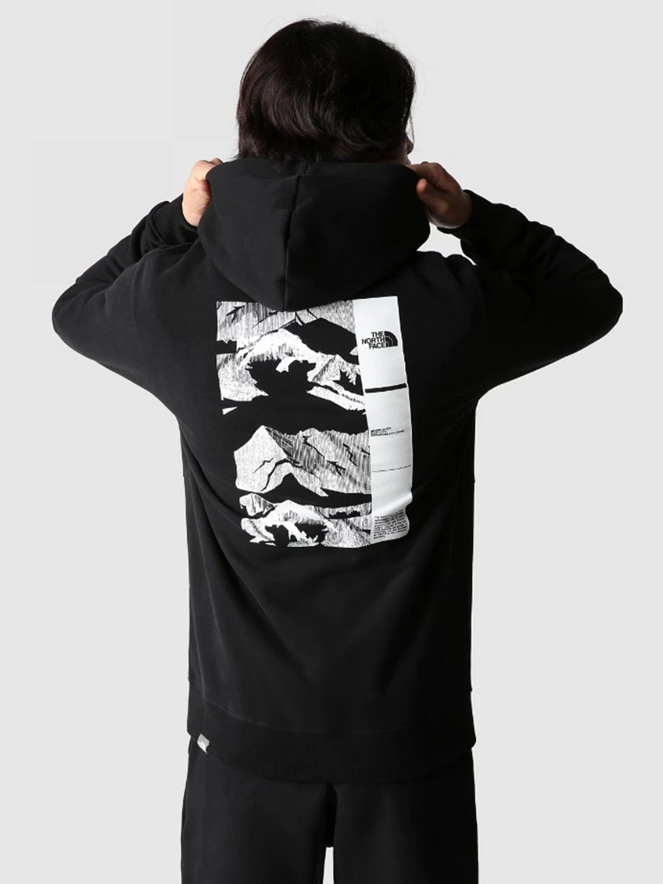 Худі та світшоти The North Face COORDINATES модель NF0A7X2GJK31 Фото